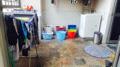 Blk 239 Bukit Panjang Ring Road (Bukit Panjang), HDB Executive #142354012